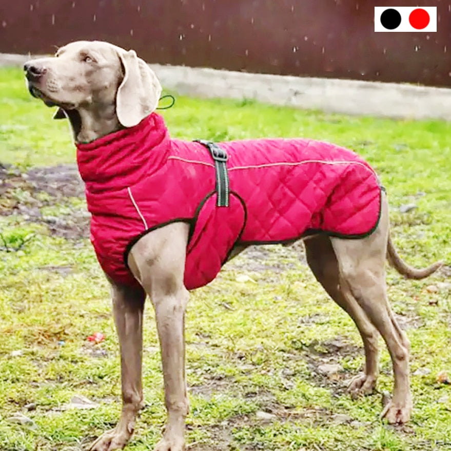 Dog Outdoor Jacket Waterproof Reflective Pet Coat Vest Winter Warm Cotton Dogs Clothing for Large Middle Dogs Labrador