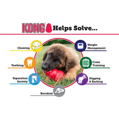 KONG Classic Dog Toy- Toughest Natural Rubber, Red- Fun to Chew