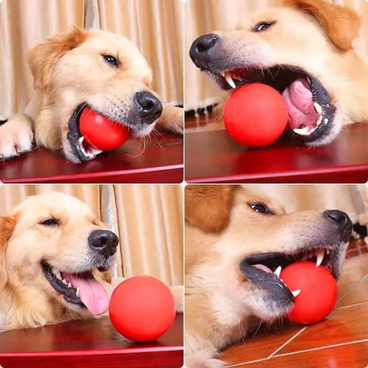 2020 hot Super Toughness Pet Molar Bite Resistant Training Chew Toy Non-toxic Solid Natural Rubber Bouncing Ball For Dog Cat