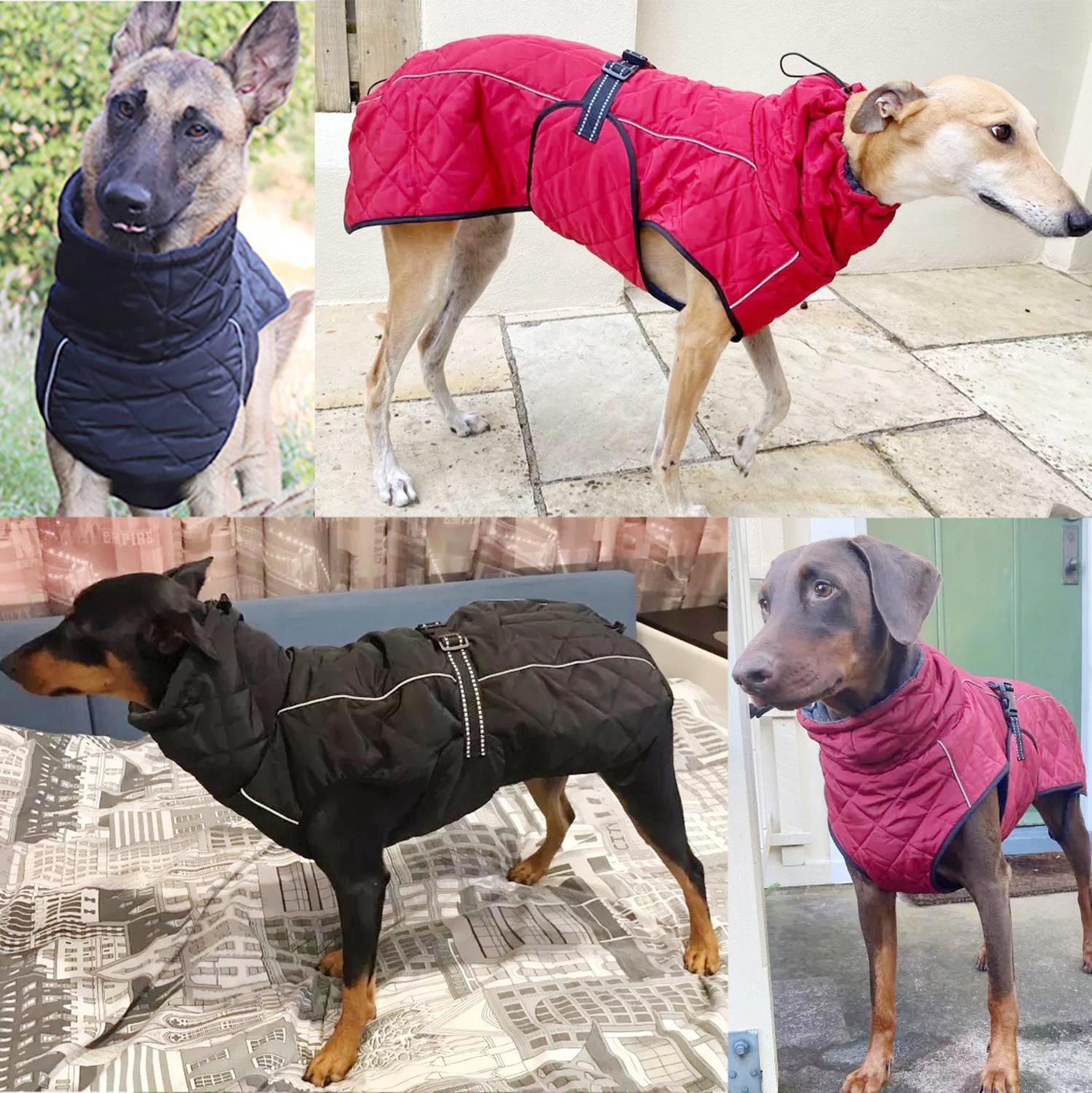 Dog Outdoor Jacket Waterproof Reflective Pet Coat Vest Winter Warm Cotton Dogs Clothing for Large Middle Dogs  Labrador