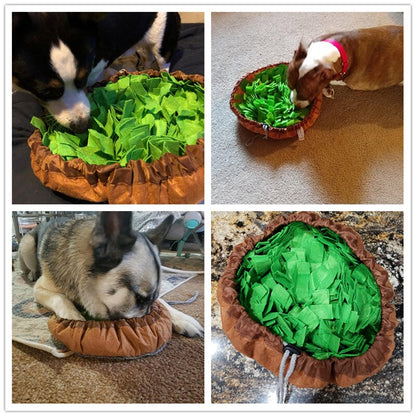 Benepaw Interactive Dog Puzzle Toys Encourage Natural Foraging Skills Portable Nonslip Pet Snuffle Mat Slow Feeder Easy To Clean